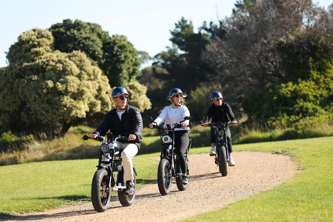 Why Ebike Tours Are the Best Way to Experience Point Nepean