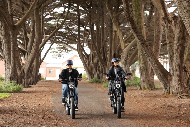 Point Nepean eBike  Ace S Plus - Guided Tour 2:00PM-5:00PM