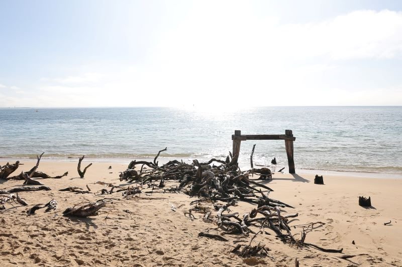 Point Nepean eBike  Ace S Plus - Guided Tour 9:30AM-12:30PM