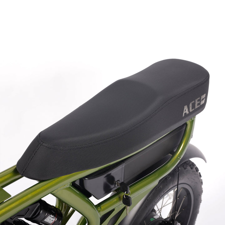 ACE-X PRO Dual Suspension Electric Bike