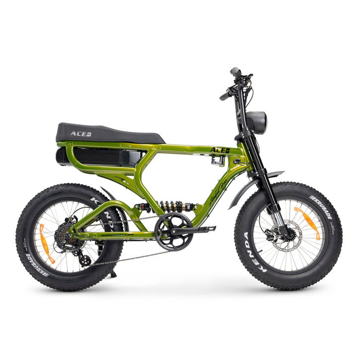 ACE-X PRO Dual Suspension Electric Bike